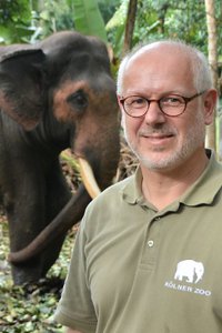 Pagel und Asiat. Elefant, Sri Lanka (2).jpg