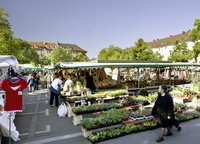 Wochenmarkt S¸lz, Auerbachplatz